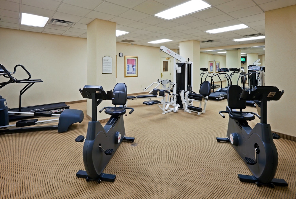 Holiday Inn Chantilly Dulles Expo Center by IHG - photo 28