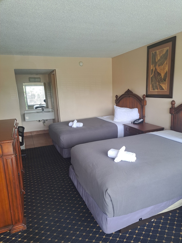 Altamonte Springs Hotel and Suites - photo 13