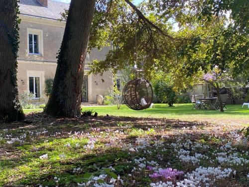 Domaine de la Soudelle — hotel in Chanceaux-Sur-Choisille