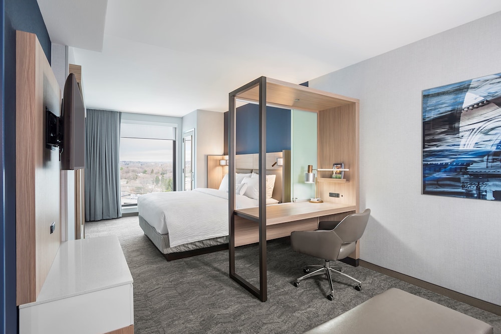 SpringHill Suites by Marriott Madison - photo 13
