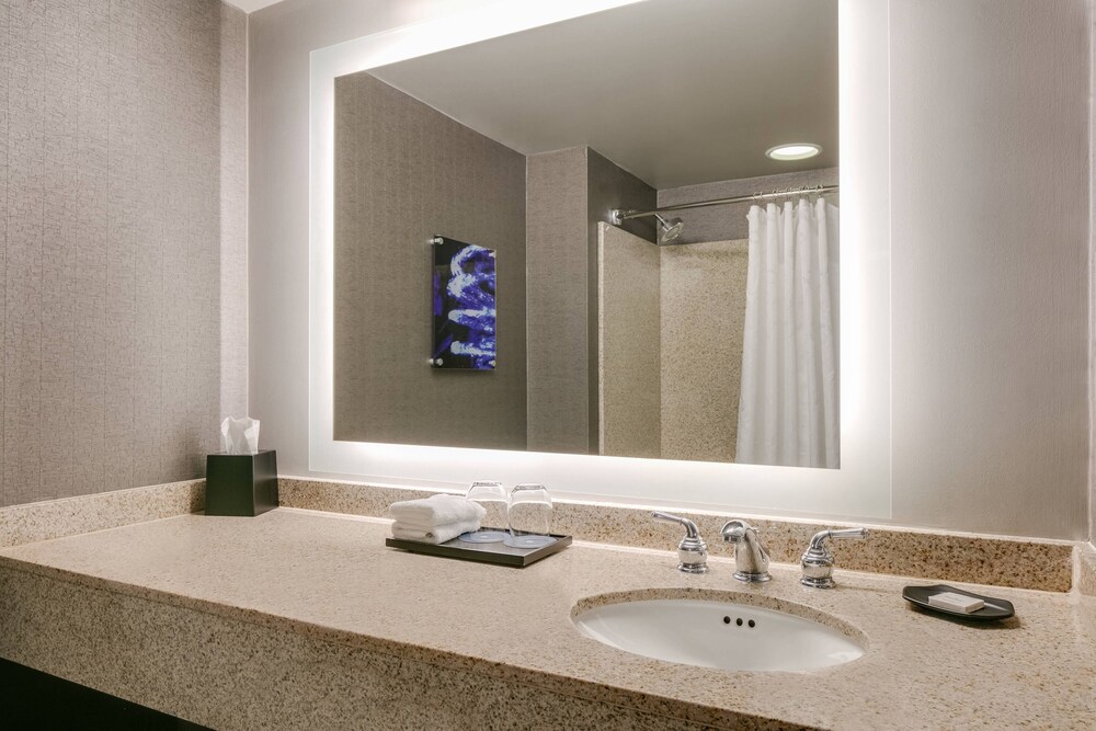 Sheraton Overland Park Hotel at the Convention Center - photo 15