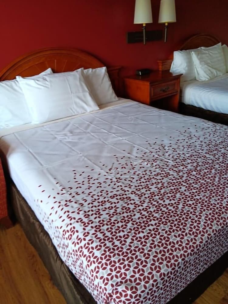 Econo Lodge Northeast - photo 12