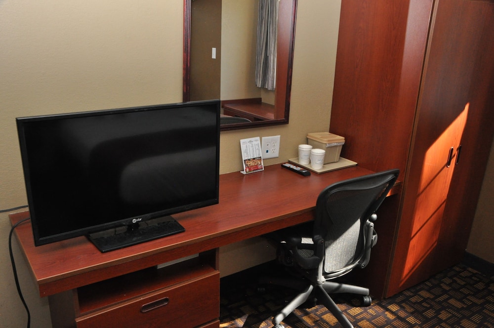 Microtel Inn & Suites by Wyndham Lithonia Stone Mountain - photo 18