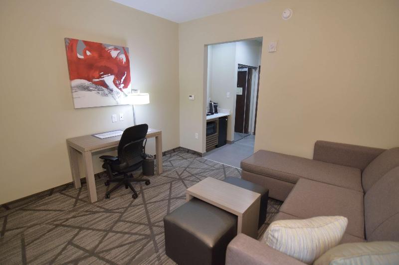 Comfort Inn & Suites Houston I 45 North IAH - photo 25