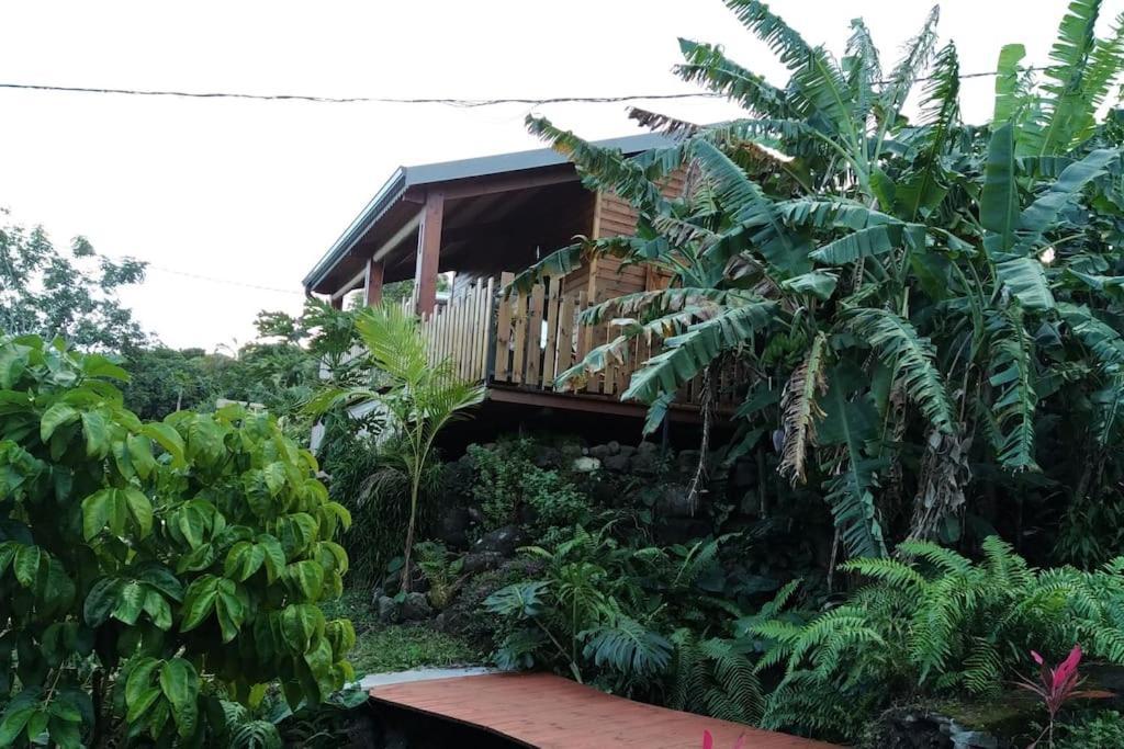 Ti Natte in Saint-Philippe, Réunion