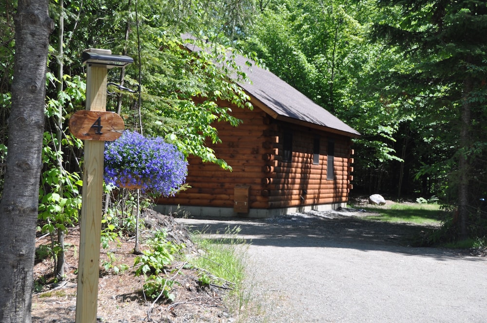 Muddy Moose - photo 5