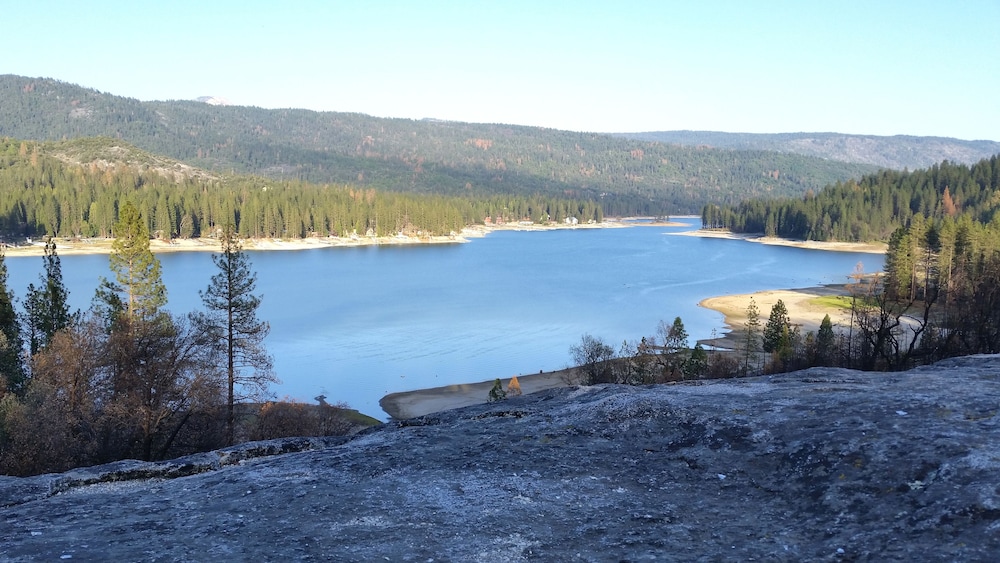 The Pines Resort - photo 48