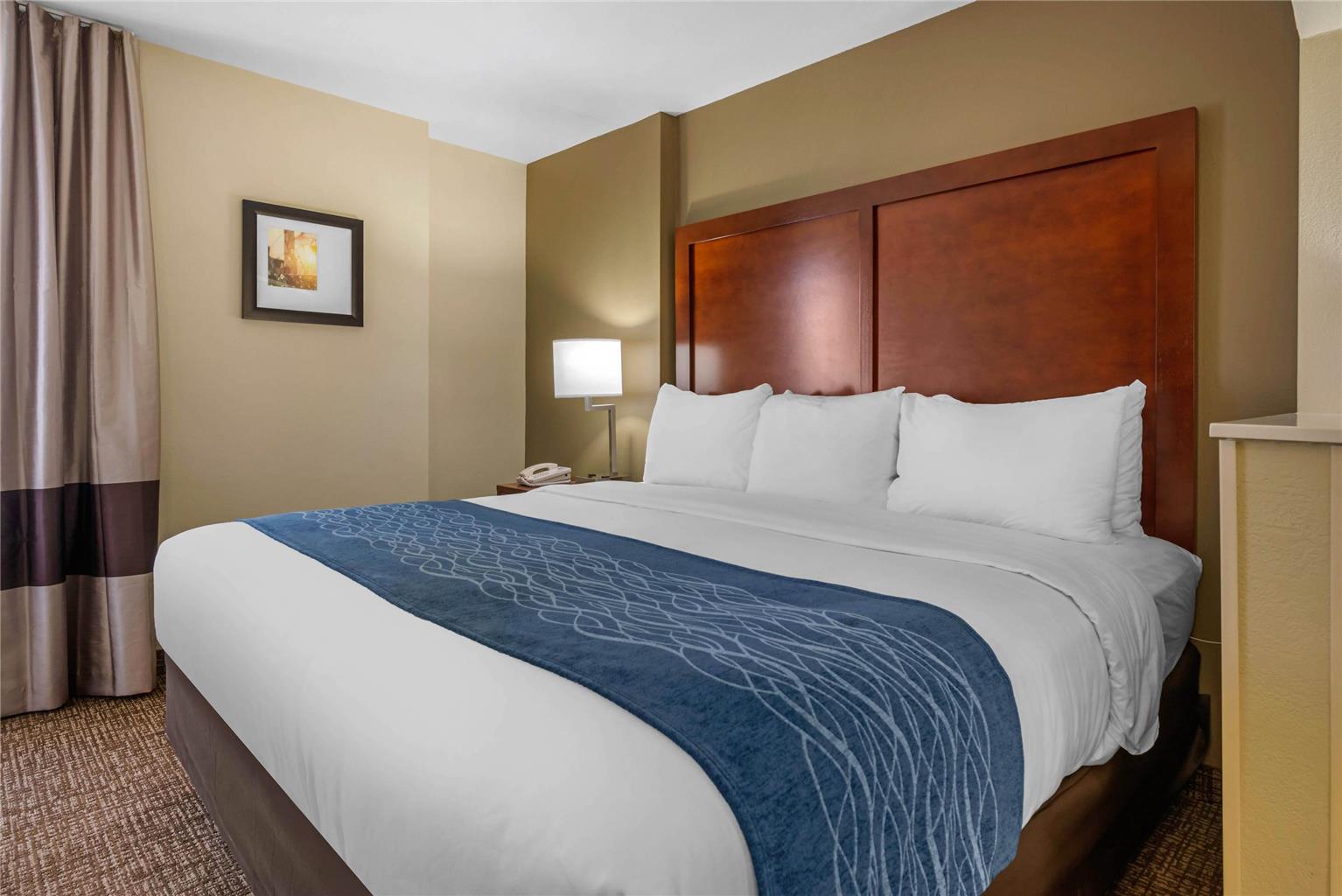 Comfort Inn Ocala Silver Springs - photo 22