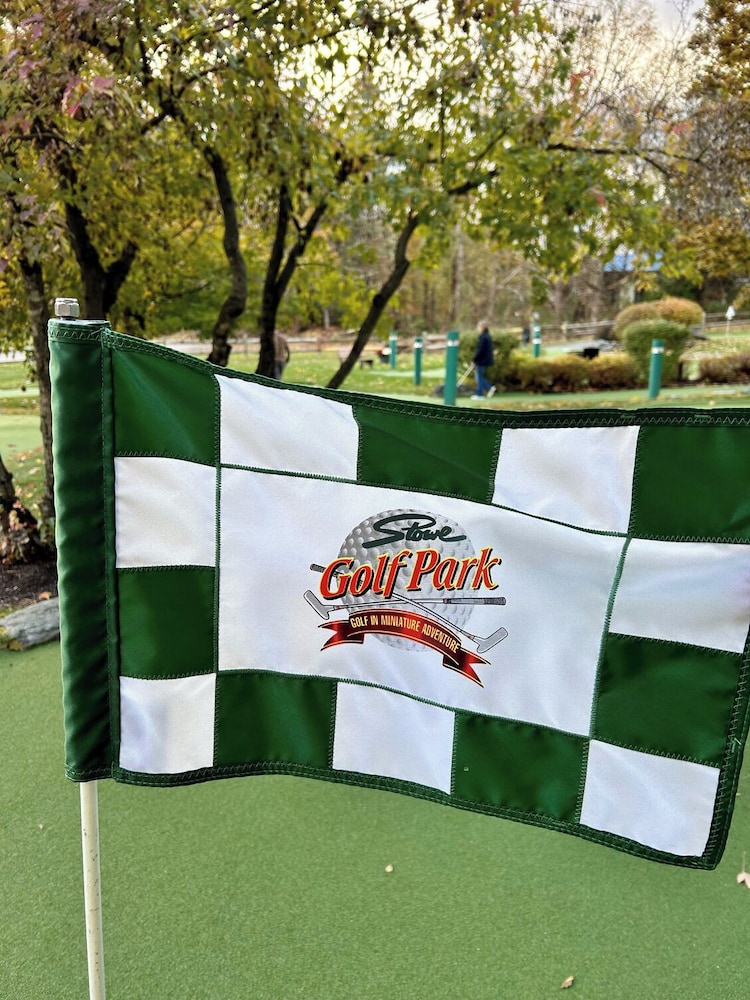 Sun & Ski Inn And Suites - photo 92