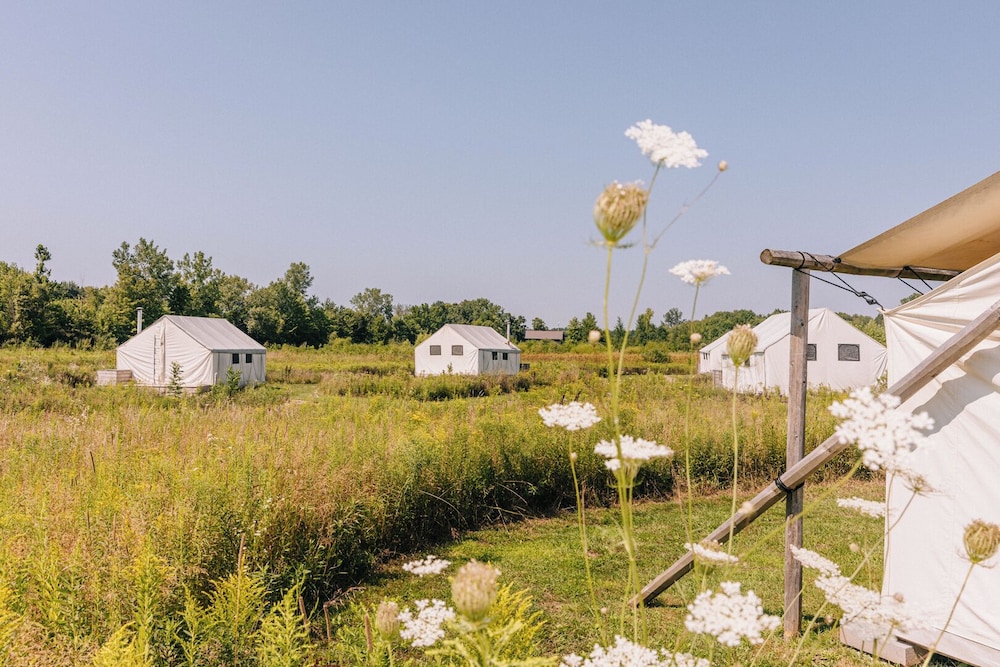 Off Map Glamping in South Haven, United States