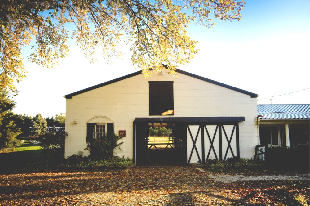 Black Horse Inn - photo 33