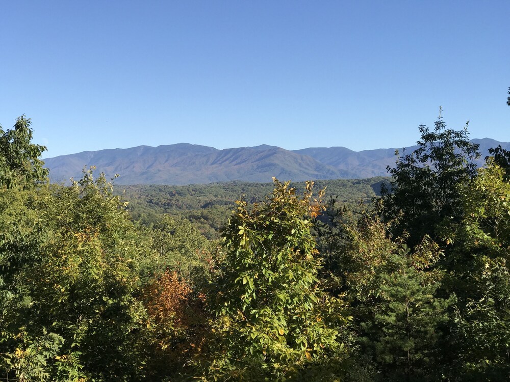 Grandpa Bear's View #233 - photo 39
