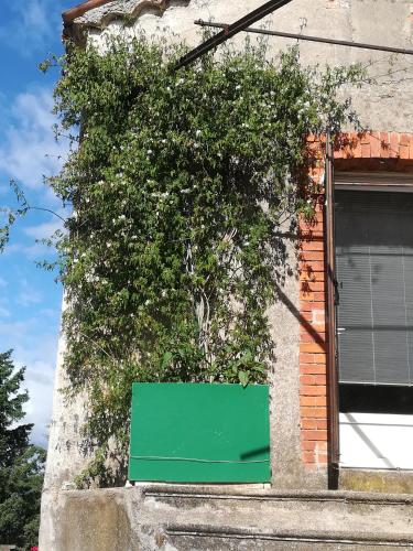 Glycines Et Jasmins in Chambon-Sur-Voueize, France