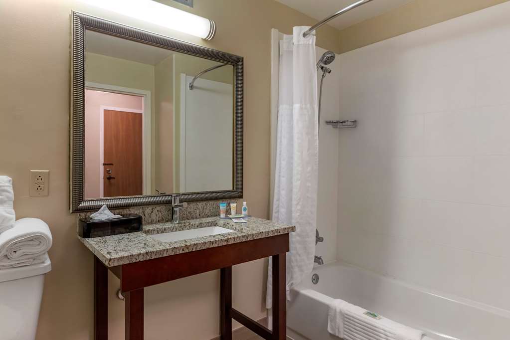 Comfort Inn Laurinburg NC - photo 21