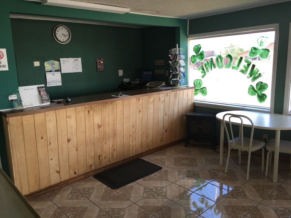 Blarney Inn - photo 4