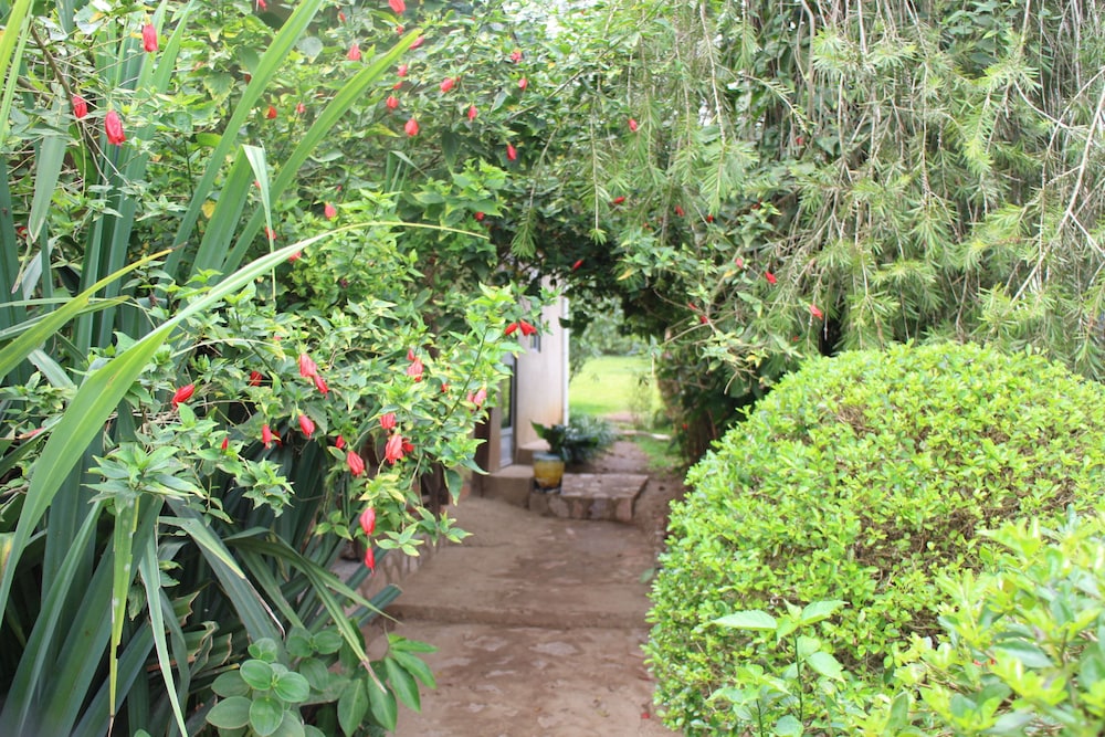 Kibale Eco Home 19744577 — Kibale