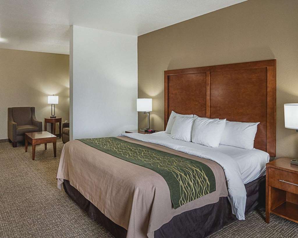 Comfort Inn Midland South I 20 - photo 22