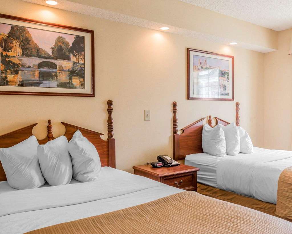Rodeway Inn Sylacauga Hwy 280 - photo 6