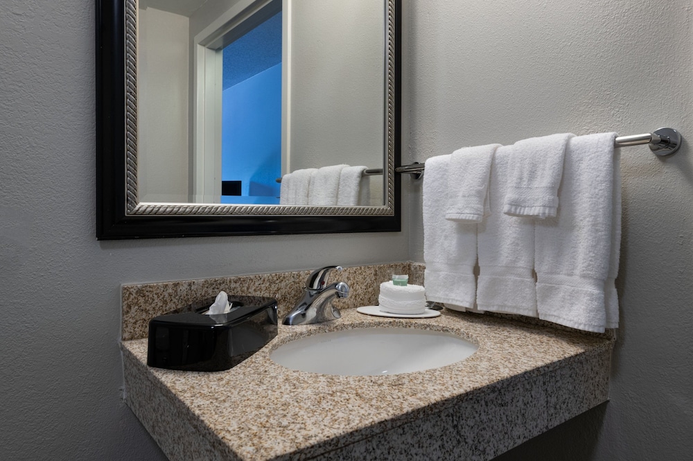 Courtyard by Marriott Dallas Arlington Entertainment Dist - photo 10