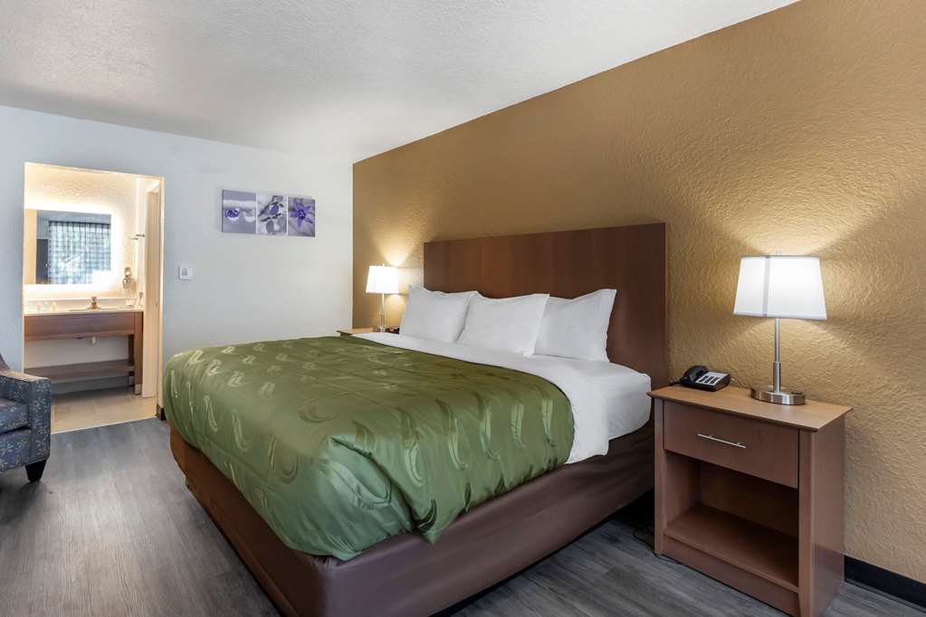 Quality Inn Saint Petersburg North Tampa Bay - photo 13