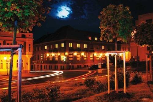 Hotel Zelený strom - last minute hotel in Horovice