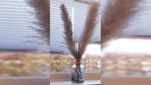 Ferienappartement Aust — Sankt Peter-Ording — photo 5