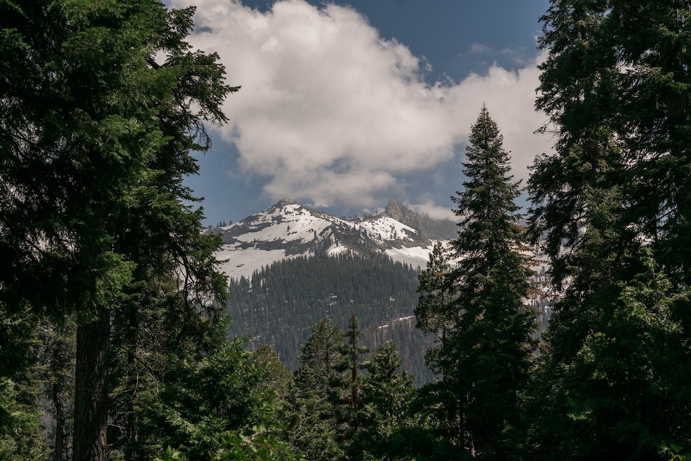 Silver City Mountain Resort - photo 139