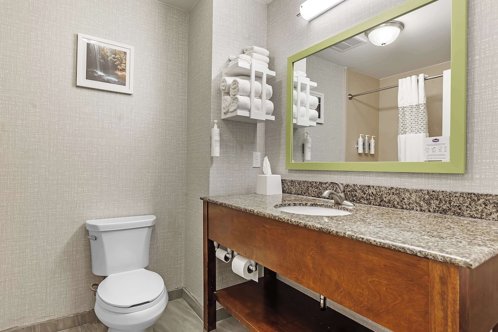Hampton Inn Atmore - photo 17