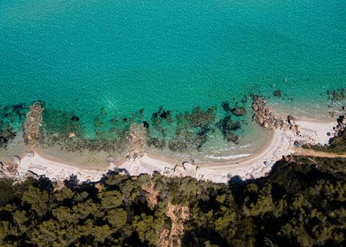 Pefkon Suites in Afytos, Greece