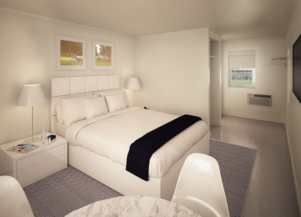 Sun Plaza Motel - photo 6