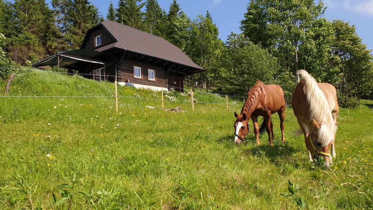 Panorama Ranc - last minute hotel in Unknown City
