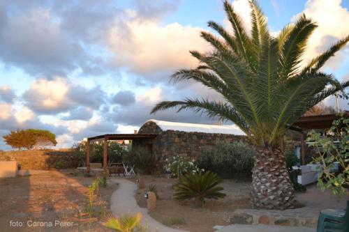 Dammuso Primavera in Pantelleria, Italy