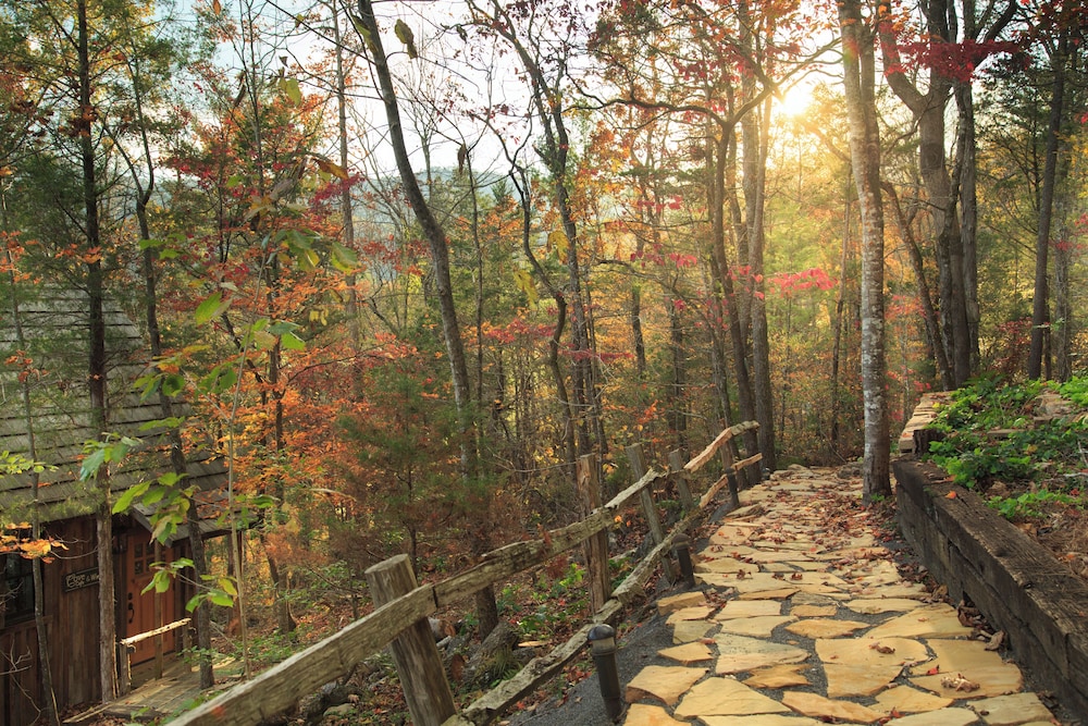 Laurel Valley Mountain Retreat - photo 217
