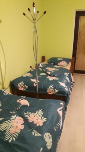 Laba Oma — Cesis — photo 5