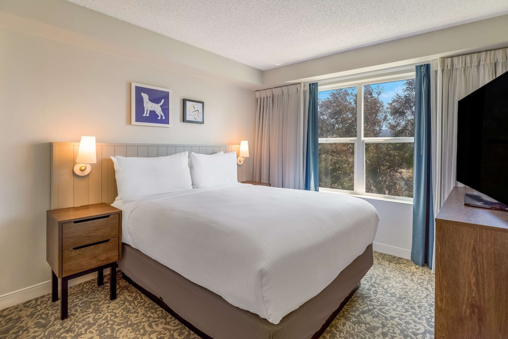 Sonesta ES Suites San Francisco Airport Oyster Point Waterfront - photo 15