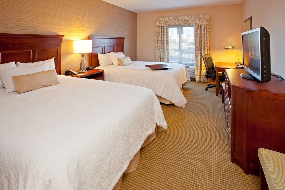 Hampton Inn Detroit Auburn Hills North - photo 14