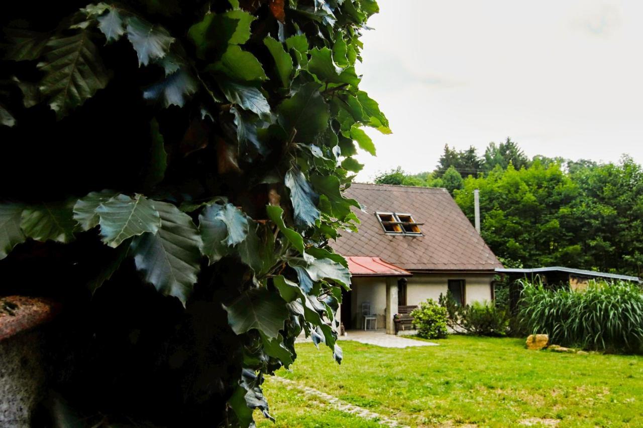 Chaloupka Zdarky - last minute hotel in Unknown City