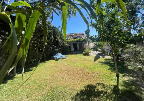 Chozito de paja a 300m. playa Mangueta in Unknown City, Spain