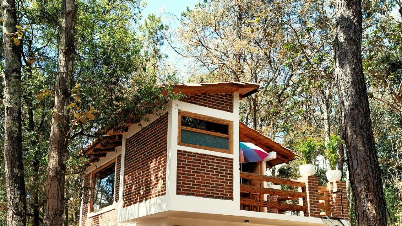 Cabaña para pareja en el bosque IA — hotel in Acaxochitlan