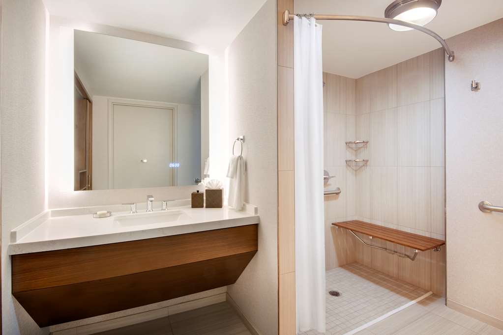 Hyatt Regency Dulles International Airport - photo 7