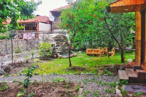 Oasis Mtskheta — Mtskheta — photo 4