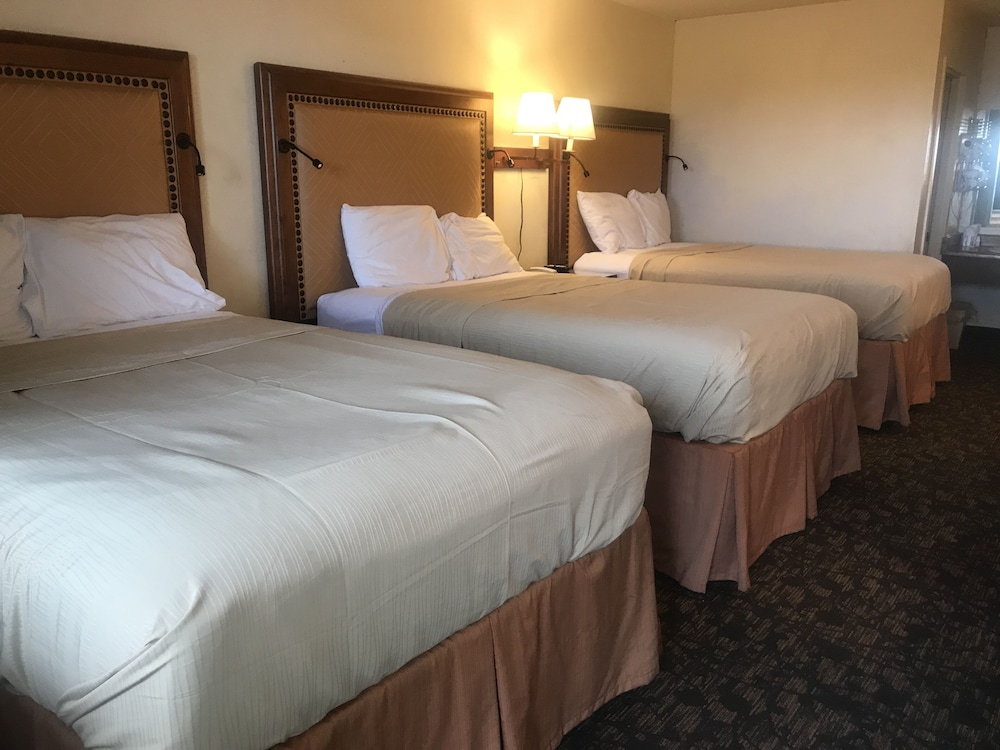 Travelers Inn & Suites - photo 23
