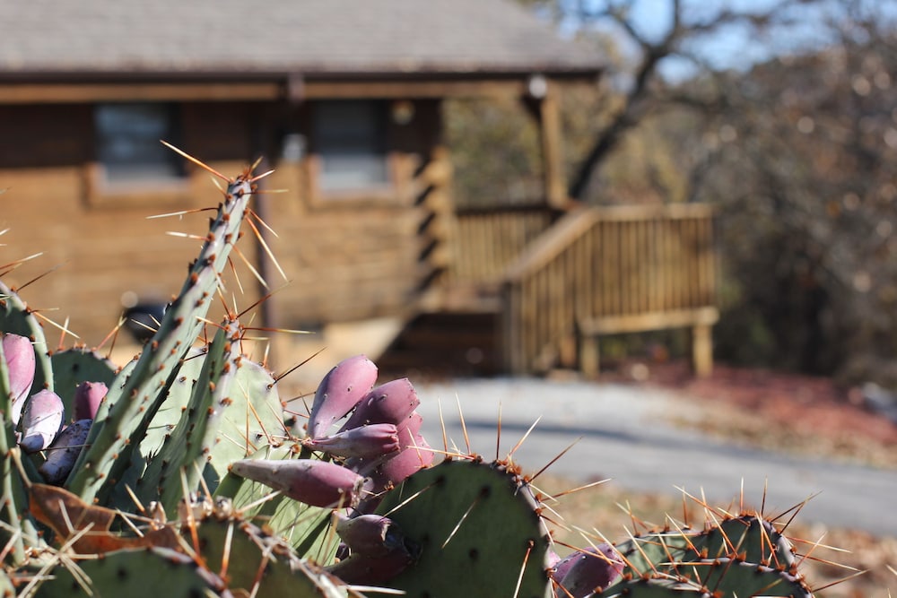 Mill Creek Resort on Table Rock Lake - photo 22