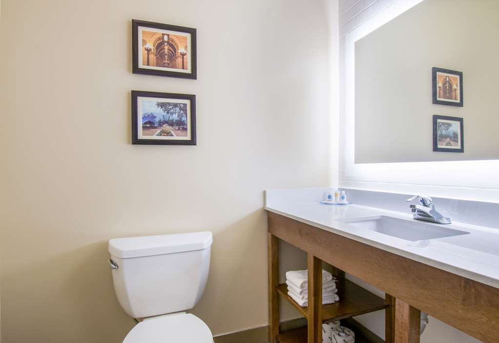 Comfort Inn & Suites Harrisburg Hershey West - photo 19
