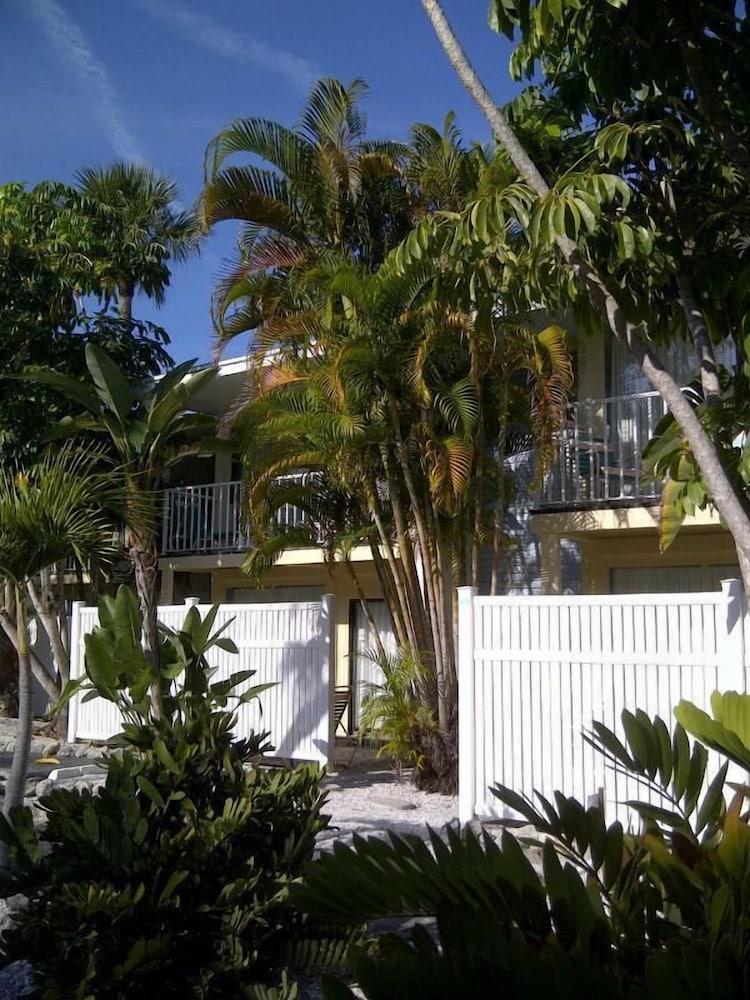 Coquina On The Beach - photo 49