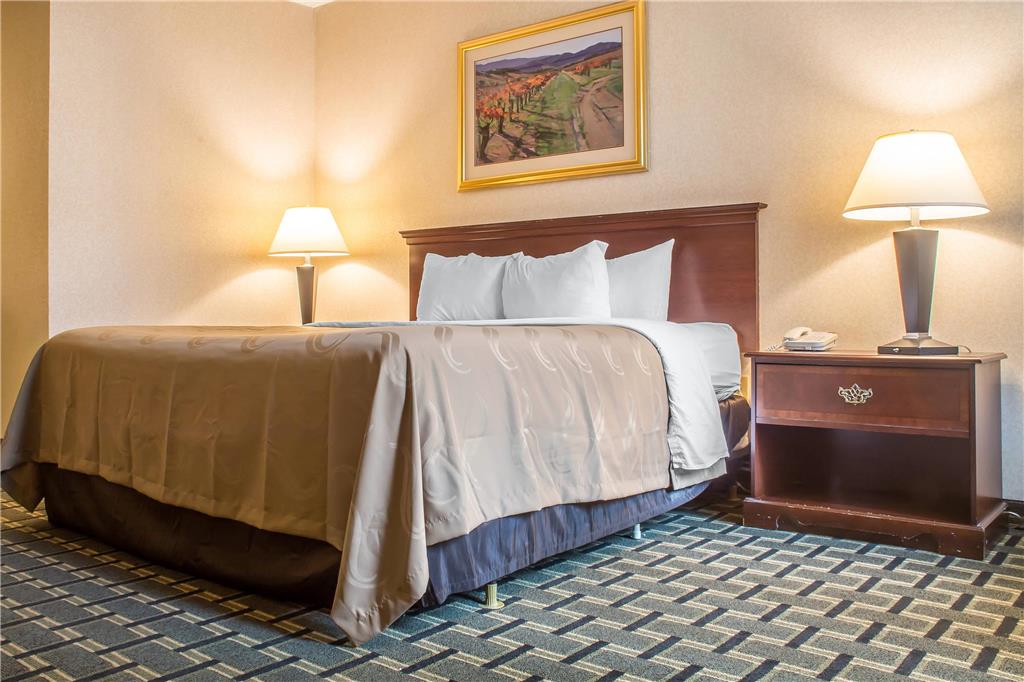 Quality Inn & Suites Palm Island Indoor Waterpark - photo 19