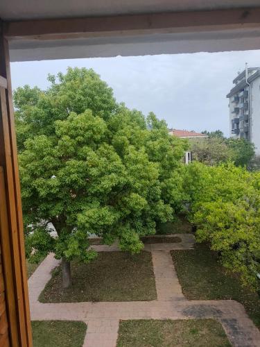 I Picarielli in Salerno, Italy