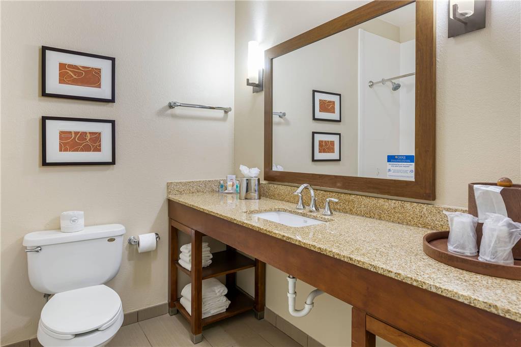 Comfort Inn Memphis Downtown - photo 25