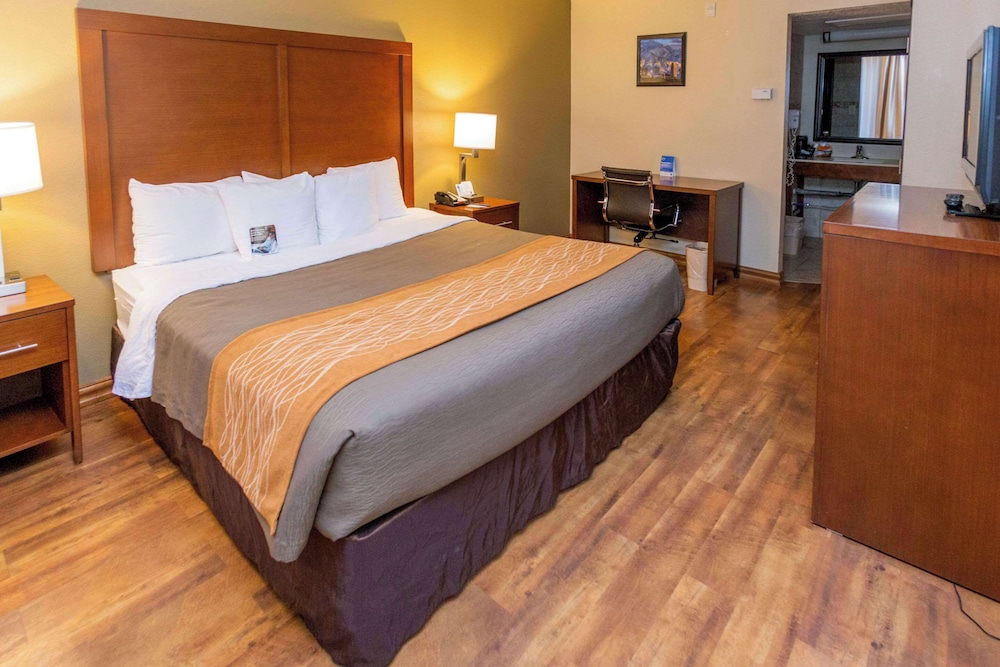 Comfort Inn Salt Lake City Downtown - photo 36