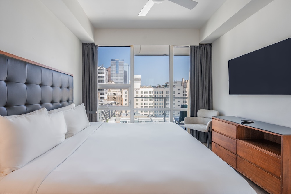 Level Los Angeles Downtown South Olive - photo 9
